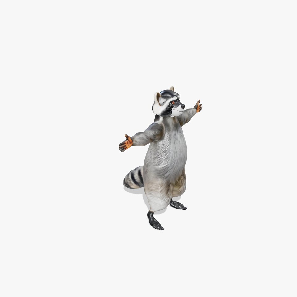 Cheerful Raccoon Character model pack